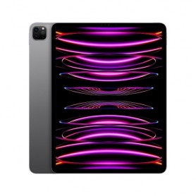 TABLET APPLE iPad Pro 12,9  (2022 6Â° gen.) Wi-Fi 256GB Space Grey MNXR3TY A